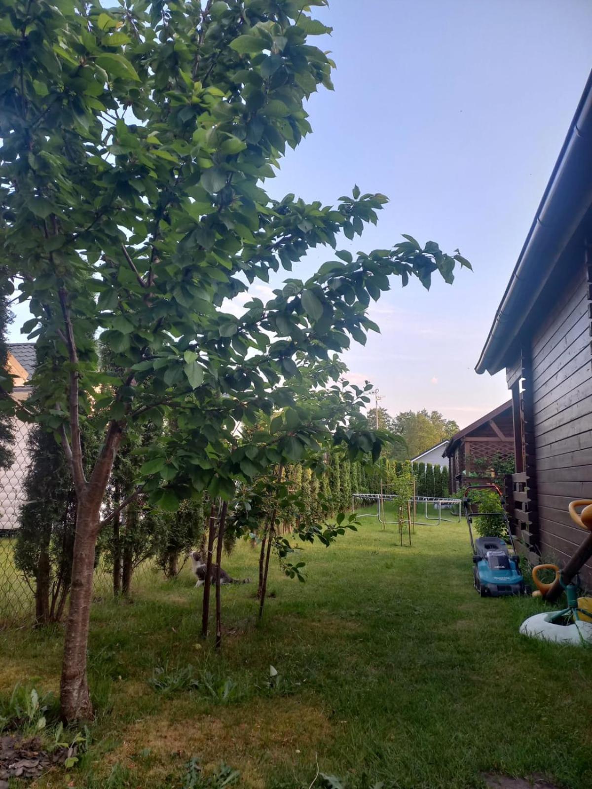 Monte Kristo Lodge