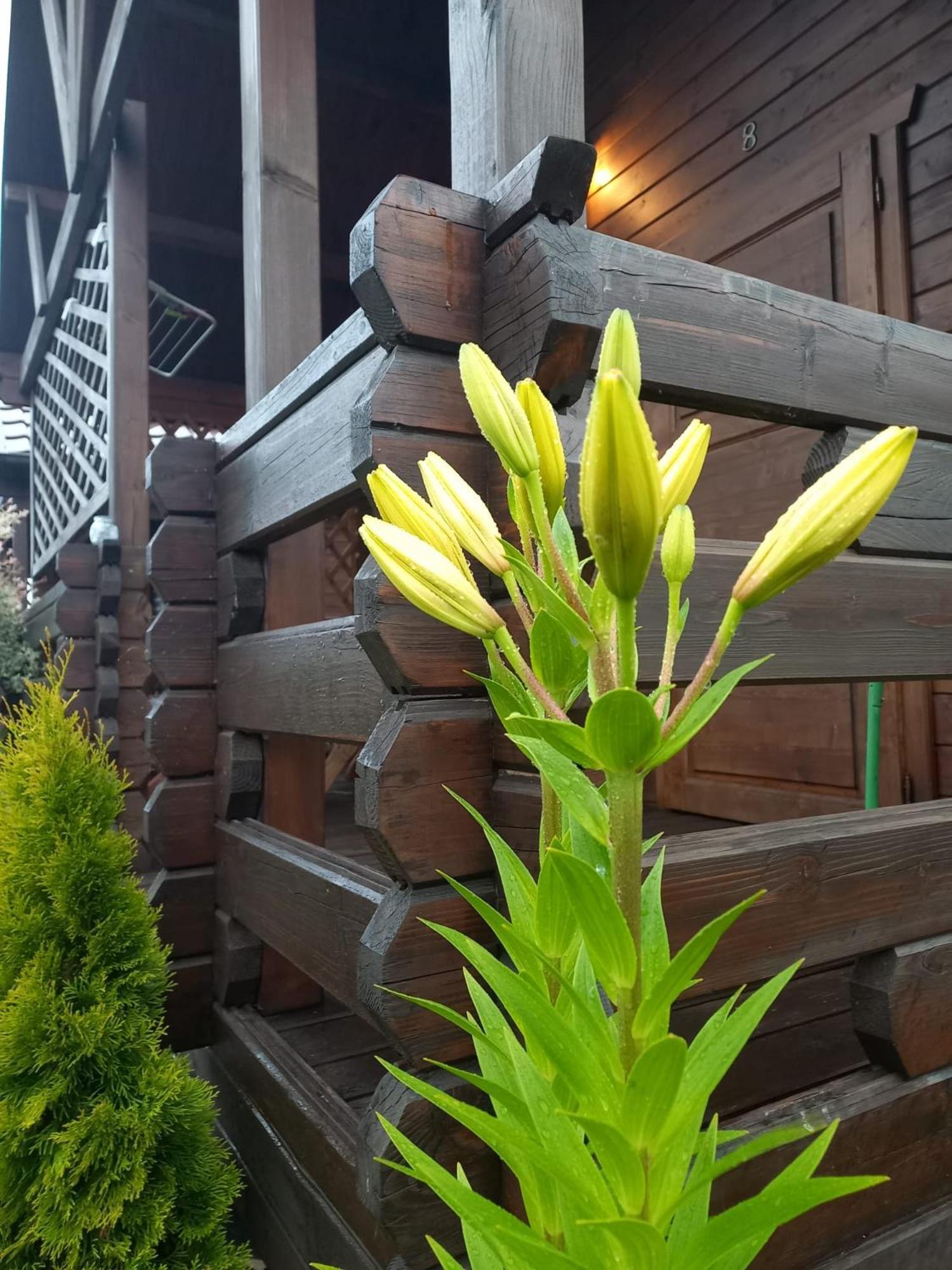 Lodge Monte Kristo