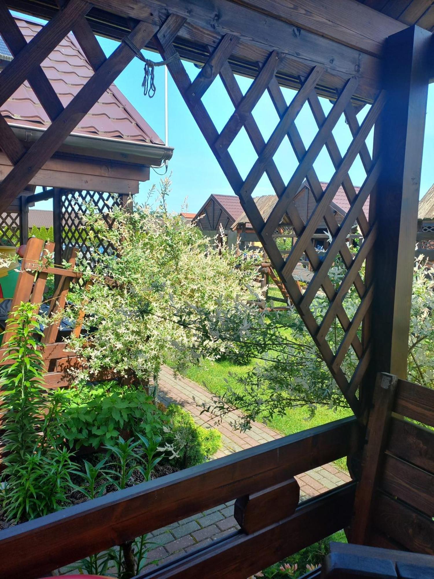 Lodge Monte Kristo Dabki